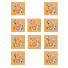 Packungen 10 Stück Hoffmann Aromakugeln Sprudelnde Orange mit je 100 Stück Kapseln mit Applikator. 10 Packungen Hoffmann Aromakapseln Fizzy Orange 100 Stück mit Kapsel Filler / Stick.