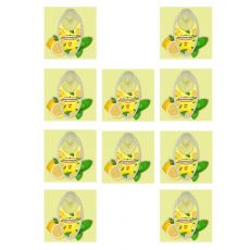 Packungen 10 Stück Hoffmann Aromakugeln Zitrone Minze mit je 100 Stück Kapseln mit Applikator. 10 Packungen Hoffmann Aromakapseln Lemon Mint 100 Stück mit Kapsel Filler / Stick.